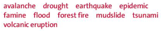 A n is a fire that spreads quickly through a large area of trees (ảnh 1)