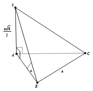 Cho tam giác ABC vuông cân tại A và BC = a. Trên đường thẳng qua A vuông góc với (ABC) lấy điểm S sao cho  SA = a căn bậc hai 6/ 2 (ảnh 1)