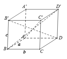 Cho hình hộp ABCD.A'B'C'D' có AB = a, BC = b, CC' = c. Nếu AC' = BD' = B'D = căn bậc hai a^2 + b^2 + c^2 thì hình hộp là (ảnh 2)