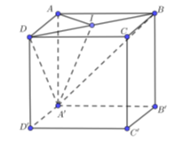 Cho hình lập phương ABCD.A'B'C'D' . Xét mặt phẳng (A'BD), trong các mệnh đề sau, mệnh đề nào đúng? (ảnh 1)