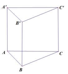 Cho hình lăng trụ đứng ABC.A'B'C'  có độ dài cạnh bên bằng 3, đáy ABC  là tam giác vuông tại A (ảnh 1)