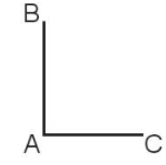 Cho hình vẽ sau, cho biết góc vuông tại đỉnh nào?  A. Góc vuông tại đỉnh A B. Góc vuông tại đỉnh B (ảnh 1)