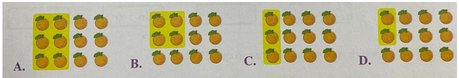 Hình được tô màu 1/6  số quả cam là: (ảnh 1)