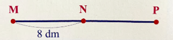 N là trung điểm của đoạn thẳng MP. Độ dài của đoạn thẳng MP là: A. 8 dm (ảnh 1)