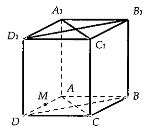 Cho hình lập phương ABCD.A1B1C1D1 có cạnh a. Gọi M là trung điểm AD. Giá trị vvecto B1M. vecto BD1 là: (ảnh 3)