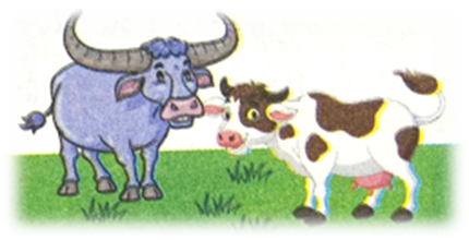 Con trâu và con bò cân nặng 545 kg, trong đó con trâu cân nặng 290 kg. Hỏi con bò cân nặng  (ảnh 1)