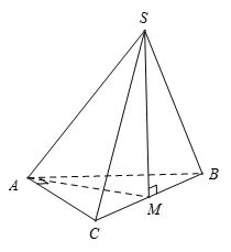 Cho hình chóp S.ABC có đáy ABC là tam giác vuông cạnh huyền BC = a.Hình chiếu vuông góc của S lên (ABC) trùng với trung điểm BC. (ảnh 1)