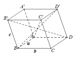 Cho hình hộp ABCD.A'B'C'D' có AB = a, BC = b, CC' = c. Nếu AC' = BD' = B'D = căn bậc hai a^2 + b^2 + c^2 thì hình hộp là (ảnh 1)