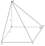 Cho hình chóp tứ giác S.ABCD có đáy là hình vuông và có một mặt bên vuông góc với đáy. Xét bốn mặt phẳng chứa bốn mặt bên và mặt phẳng chứa mặt đáy. (ảnh 1)