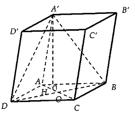 Cho hình hộp  ABCD.A'B'C'D' có đáy là hình thoi, góc BAD = 60 độ và A'A = A'B = A'D. Gọi O là giao điểm của AC và BD. (ảnh 1)