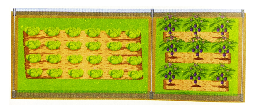 Bác Tư có hai mảnh vườn ở cạnh nhau. Mảnh vườn hình vuông có chu vi là 40 m. Mảnh vườn hình chữ nhật dài 20 m, chiều rộng của mảnh (ảnh 1)