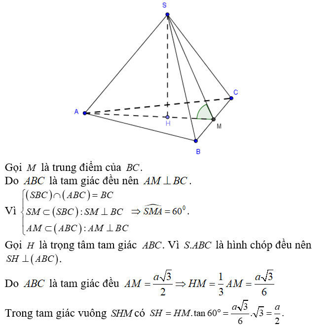 Cho hình chóp đều SABC  có cạnh đáy bằng a , góc giữa một mặt bên và mặt đáy bằng 60 độ . Tính độ dài đường cao SH (ảnh 1)