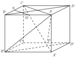 Cho hình lập phương ABCD.A'B'C'D' cạnh a. Gọi M, N lần lượt là trung điểm của AB, BC. Tính góc giữa hai đường thẳng MN và C'D' (ảnh 1)