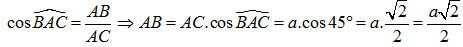 Cho hình lăng trụ tứ giác đều ABCD.A'B'C'D' có ACC'A' là hình vuông, cạnh bằng a. Cạnh đáy của hình lăng trụ bằng: (ảnh 4)