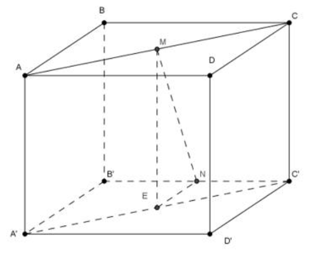 Cho hình lập phương ABCD.A'B'C'D'. Gọi M và N lần lượt là trung điểm của cạnh AC và B'C'.  (ảnh 1)