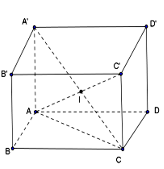 Cho hình hộp chữ nhật ABCD.A'B'C'D' có  AB= 2; AD= 4 căn bậc hai 2; AA'= 2 căn bậc hai 3 (ảnh 1)