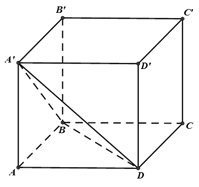 Cho hình lập phương ABCD.A'B'C'D' . Xét mặt phẳng (A'BD). Trong các mệnh đề sau mệnh đề nào đúng? (ảnh 1)