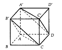 Cho hình hộp ABCD.A'B'C'D'. Giả sử tam giác AB'C và A'DC' đều có 3 góc nhọn. Góc giữa hai đường thẳng AC và A'D là góc nào sau đây? (ảnh 1)