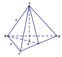 Cho tứ diện đều ABCD cạnh a. Gọi A' là hình chiếu của A trên mặt phẳng (BCD). Độ dài cạnh AA' là: (ảnh 1)