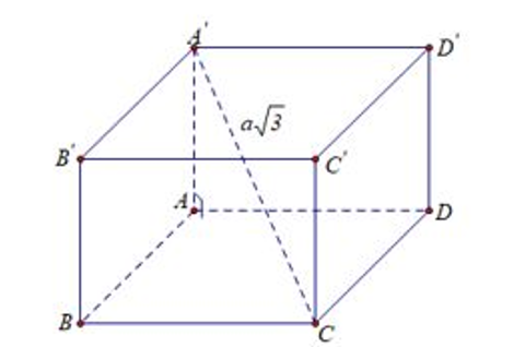 Cho hàm số y= f(x) có đạo hàm trên R. Đồ thị hàm số y = f'(x) như hình vẽ bên dưới. (ảnh 1)