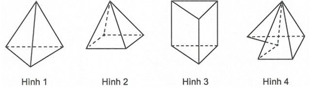 Trong các hình dưới đây hình nào không phải khối đa diện lồi? (ảnh 1)