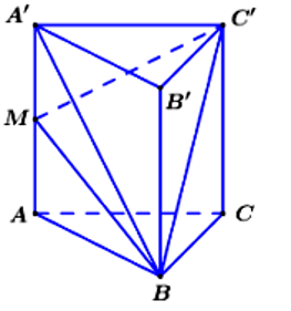 Cho khối lăng trụ đứng ABC.A'B'C' có đáy ABC là tam giác vuông (ảnh 1)