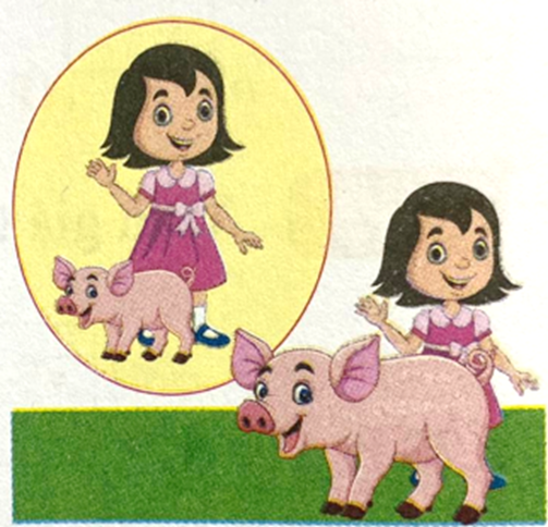 Gia đình Mai được xã hỗ trợ một con lợn để phát triển kinh tế. Lúc mới nhận nuôi con lợn (ảnh 1)