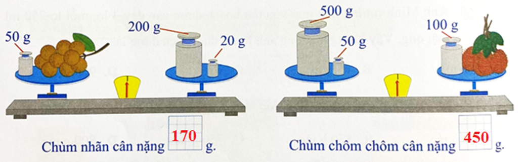 Số 50 g 200 g 20 g 500 g 50 g 100 g Chùm nhãn cân nặng g Chùm chôm chôn  (ảnh 2)