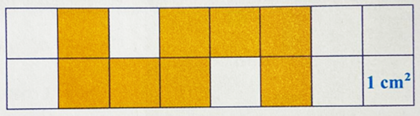 Phần được tô màu có diện tích là A. 4 cm^2 B. 6 cm^2 C. 8 cm^2 D. 10 cm^2 (ảnh 1)