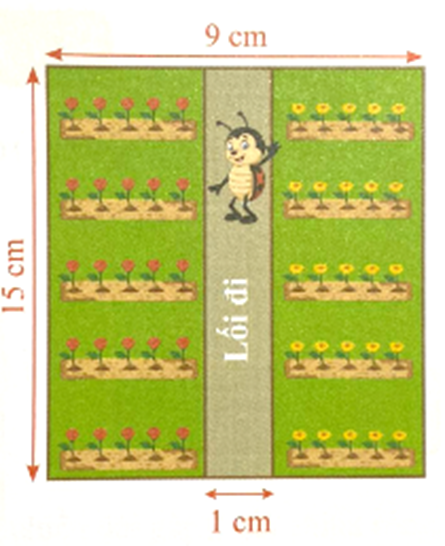 mảnh vườn trồng hoa hình chữ nhật dài 15 cm và rộng 9 cm Diện tích mảnh vườn của Cánh Cam là (ảnh 1)