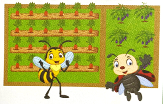 Ong có một khu vườn 1 500 cm2. Để mở rộng sản xuất, Ong đã mua thêm mảnh vườn dài (ảnh 1)