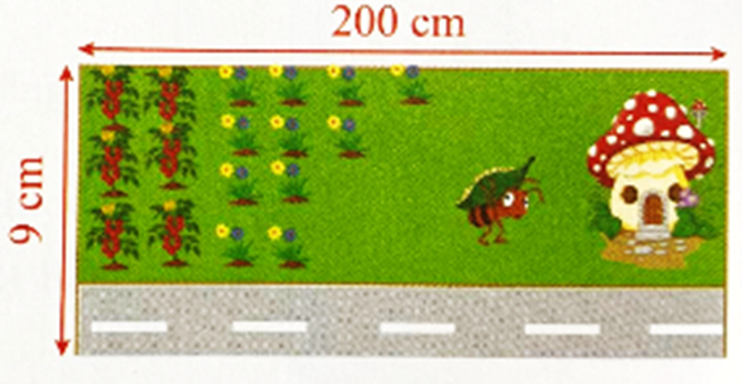 Kiến có một mảnh đất dài 200 cm và rộng 9 cm. Sau khi hiến cho nhà nước một diện tích (ảnh 1)