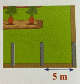 Bác Bình có một mảnh đất hình vuông cạnh dài 1 200 m. Bác dự định đóng cọc xung quanh  (ảnh 1)