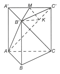 Cho hình lăng trụ đứng ABC.A'B'C'  có đáy ABC là tam giác vuông,AB = BC = a (ảnh 1)