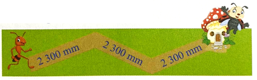 Để cho tới ngôi nhà Cánh Cam, Kiến cần thiết lên đường quãng lối nhiều năm là: A. 4 600 milimet B. 69 dm (ảnh 1)