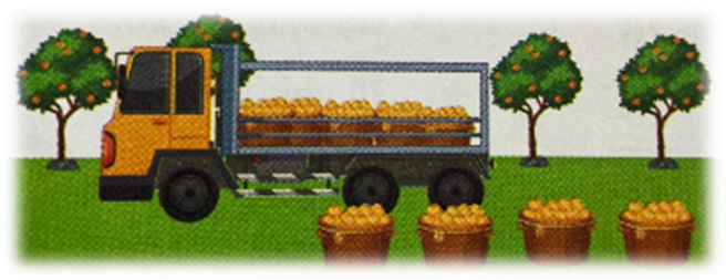Bố Hiền lái xe tải chở 45 sọt cam ra chợ bán. Mỗi chuyến xe bố Hiền chở được 9 sọt cam (ảnh 1)