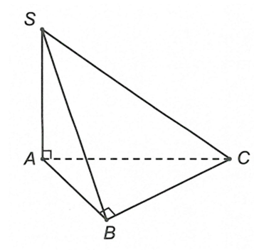 Cho hình chóp S.ABC có SA vuông góc (ABC) tam giác ABC vuông tại B. Biết SA = 4a, AB = 2a, BC = 4a. (ảnh 1)