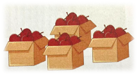 Chị Tâm chia đều 60 kg táo vào 4 thùng để gửi cho khách hàng. Hỏi mỗi thùng có bao nhiêu (ảnh 1)