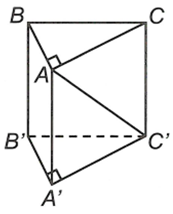 Cho lăng trụ đứng ABC.A'B'C'  có độ dài cạnh bên bằng 2a, đáy ABC là tam giác vuông cân tại A, góc giữa AC' và mặt phẳng (BCC'B')  (ảnh 1)