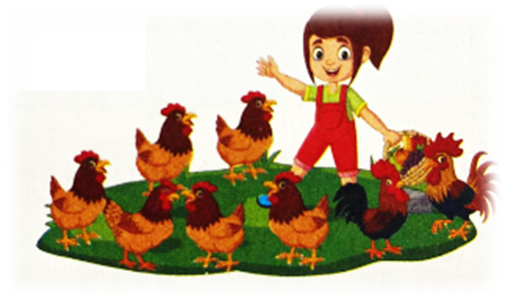 Nhà Mai có 24 con gà trống. Số gà mái của nhà Mai gấp 3 lần số gà trống. Hỏi nhà Mai có (ảnh 1)
