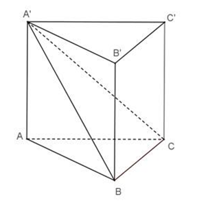 Cho hình lăng trụ đứng ABC.A'B'C' có đáy ABC là tam giác vuông tại (ảnh 1)