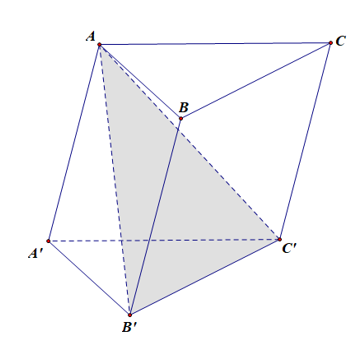 Mặt phẳng (AB'C')  chia khối lăng trụ ABCA'B'C' thành các loại khối đa diện nào?  A. Hai khối chóp tứ giác. (ảnh 1)