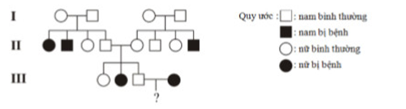 Sơ đồ phả hệ trên mô tả sự di truyền của một bệnh ở người do một trong hai allele của một gene quy định. Biết rằng không xảy ra đột biến (ảnh 1)