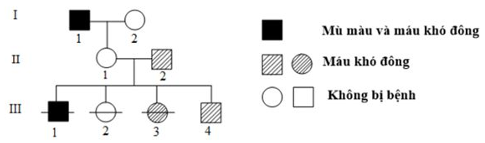 Bệnh mù màu và bệnh máu khó đông do 2 gen lặn trên nhiễm sắc thể X qui định, cách nhau 12cM. Cho phả hệ (ảnh 1)