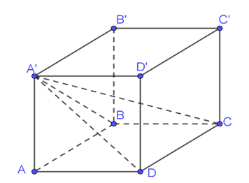 Cho hình lập phương ABCDA'B'C'D'  có A'C= a căn 3  Thể tích khối chóp A'ABCD  bằng (ảnh 1)