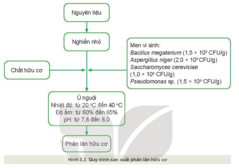 Quan sát Hình 3.2 và mô tả quy trình sản xuất phân lân hữu cơ.   (ảnh 1)