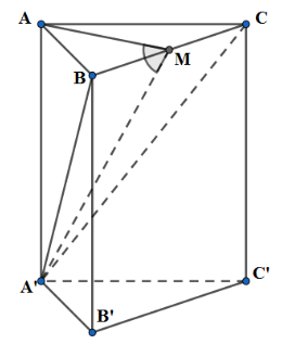 Cho lăng trụ đều ABC.A’B’C’ có cạnh đáy bằng a và cạnh bên là 3a / 2. Tính số đo góc tạo (ảnh 2)