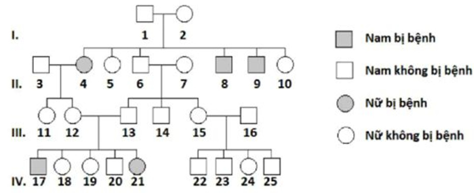 Sơ đồ phả hệ dưới đây mô tả sự di truyền của một tính trạng trong một gia đình: Biết rằng bệnh này do một trong hai alen của một gen quy (ảnh 1)