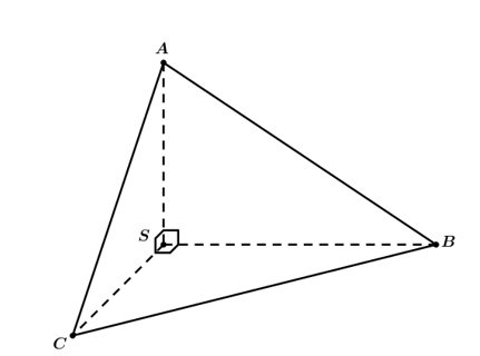 Cho hình chóp tam giác SABC   với SA, SB, SC   đôi một vuông góc và SA=SB=SC=a . Tính thể tích khối chóp SABC . (ảnh 1)