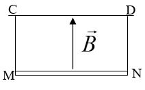 Một đoạn dây dẫn thẳng MN=5cm, khối lượng m=10g được treo vào hai sợi dây mãnh, nhẹ MC và ND sao cho MN nằm ngang (hai dây treo và thanh MN thuộc mặt phẳng thẳng đứng). Cả hệ thống đặt trong từ trường đều   hướng thẳng đứng từ dưới lên, B=0,25T. Cho dòng điện I qua MN thì dây treo lệch một góc   so với phương thẳng đứng. Lấy g=10   thì I có giá trị xấp xỉ là: (ảnh 1)